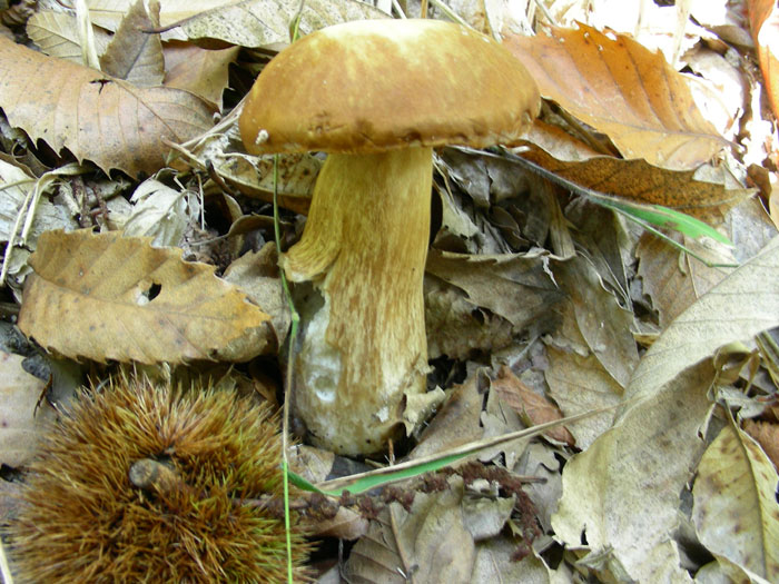 Tre ritrovamenti del 18.10.08