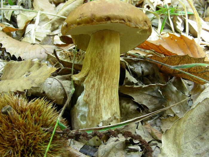 Tre ritrovamenti del 18.10.08