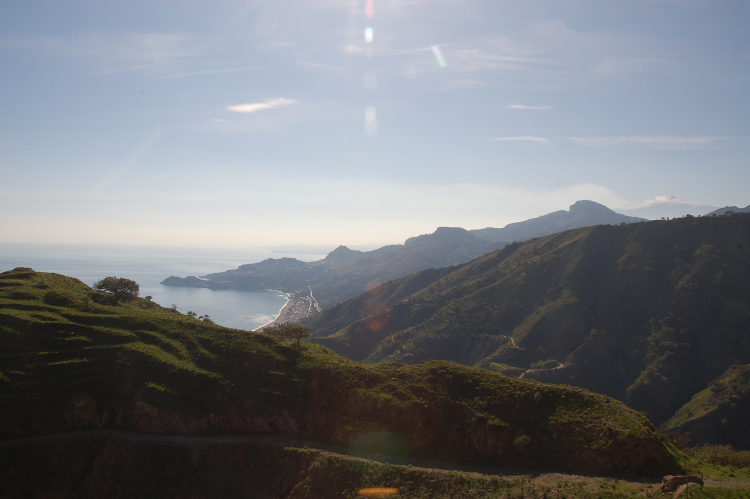 4 Le colline di Taormina:Aphyllophorales e molto altro