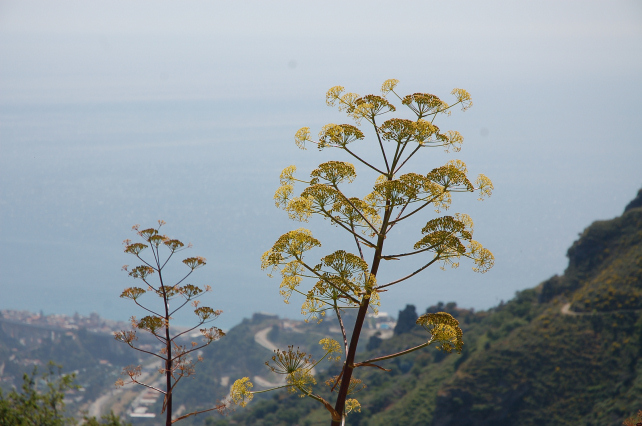 Inaugurazione del sentiero  Taormina-Forza d''Agr