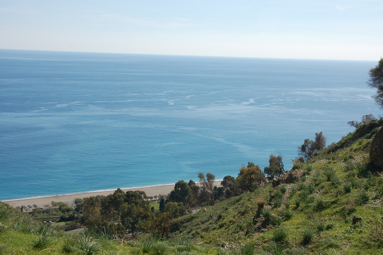 4 Le colline di Taormina:Aphyllophorales e molto altro