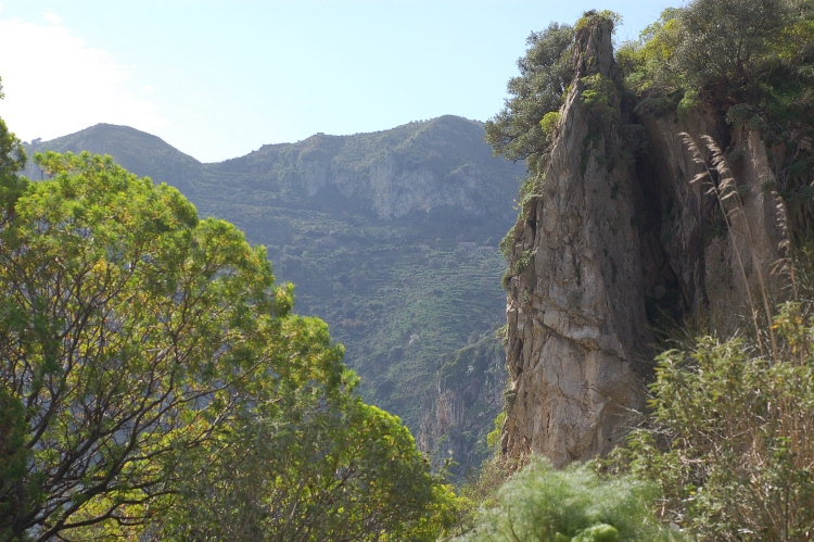 5 Le colline di Taormina:Aphyllophorales e molto altro