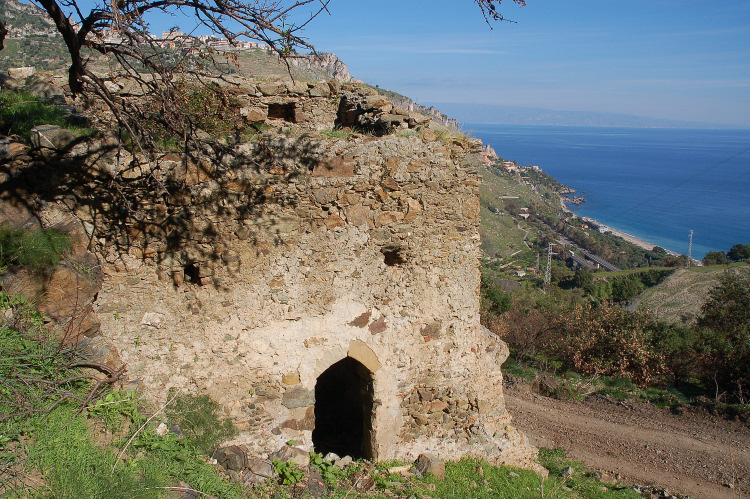 4 Le colline di Taormina:Aphyllophorales e molto altro