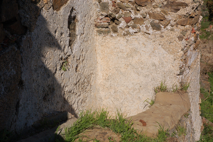 4 Le colline di Taormina:Aphyllophorales e molto altro