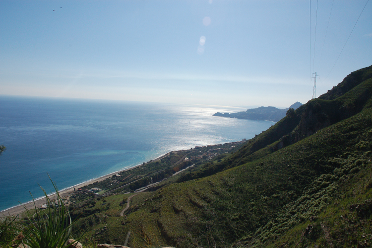 4 Le colline di Taormina:Aphyllophorales e molto altro