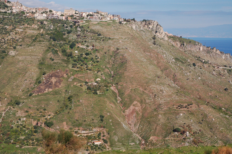 4 Le colline di Taormina:Aphyllophorales e molto altro