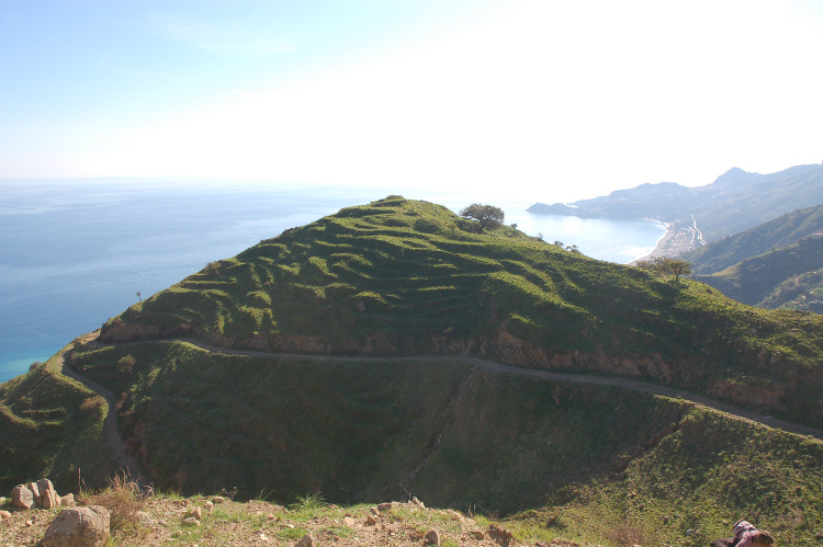 4 Le colline di Taormina:Aphyllophorales e molto altro