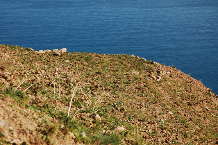 4 Le colline di Taormina:Aphyllophorales e molto altro