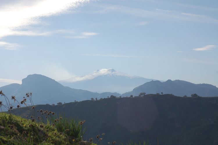 4 Le colline di Taormina:Aphyllophorales e molto altro