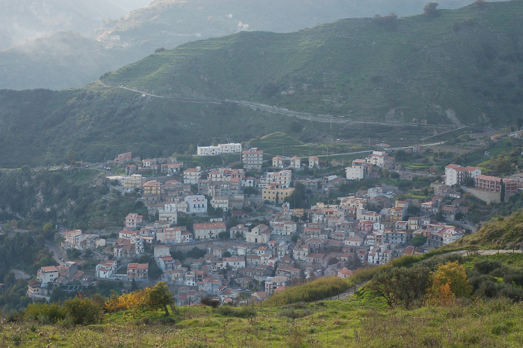 4 Le colline di Taormina:Aphyllophorales e molto altro