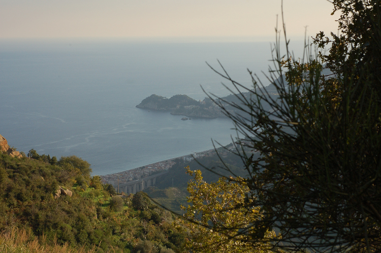 4 Le colline di Taormina:Aphyllophorales e molto altro