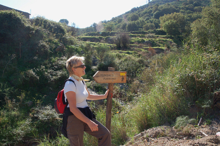 4 Le colline di Taormina:Aphyllophorales e molto altro