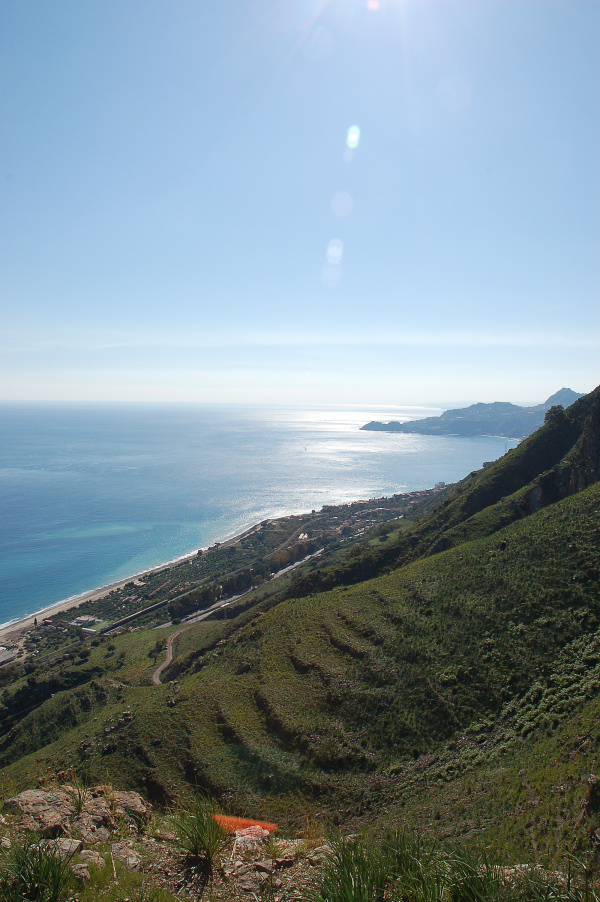 4 Le colline di Taormina:Aphyllophorales e molto altro