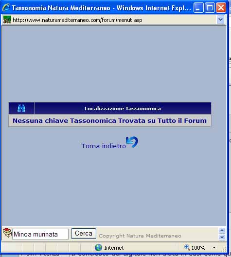 piccola farfalla n�2