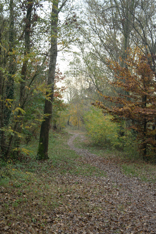 I colori dell''autunno...