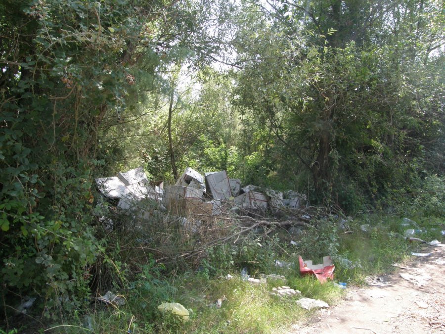 Vipera ammodytes dell''isola di Ada Bojana (Montenegro)