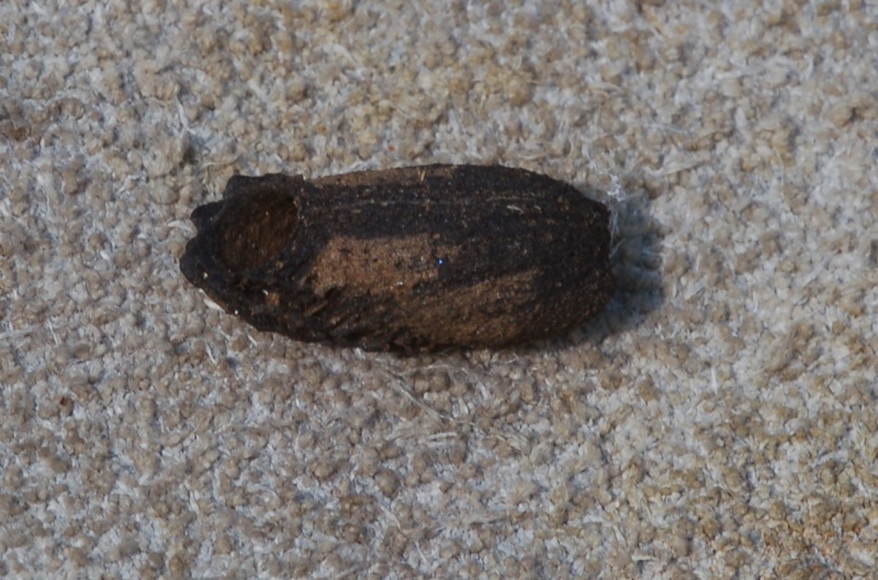 Identificazione 