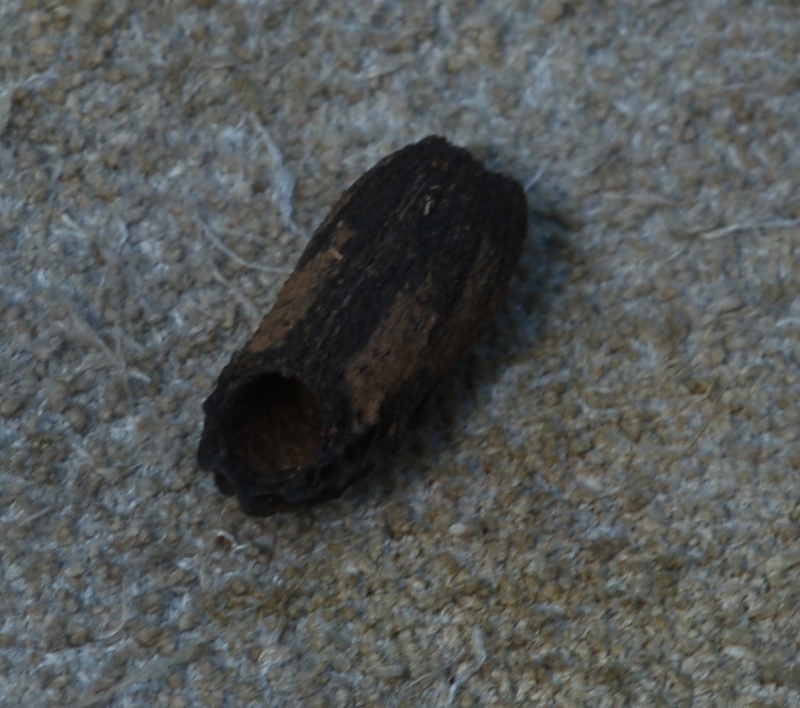 Identificazione 