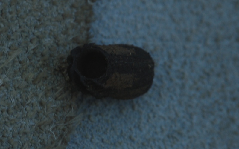Identificazione 