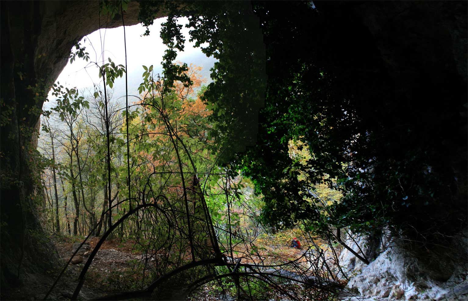 in una grotta