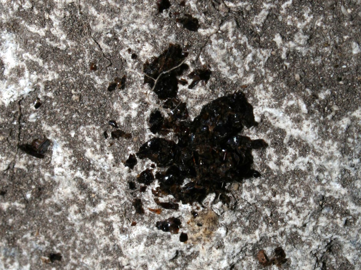 in una grotta