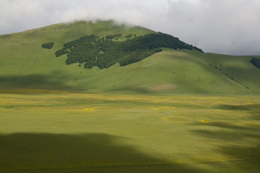 natura  metafisica