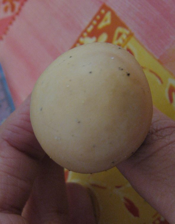 Cresciuto in posto assurdo (cfr. Agrocybe praecox)