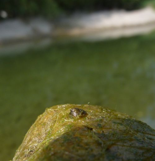 Escursione lodigiano