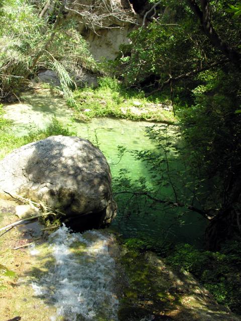 Odonati ellenici