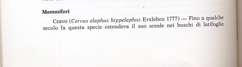 Ci son troppi cervi.........