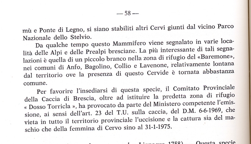 Ci son troppi cervi.........