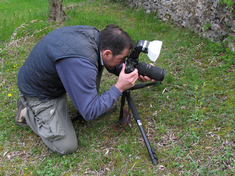Domenica 5/4 Lago di Garda per orchidee (ex 29/3)