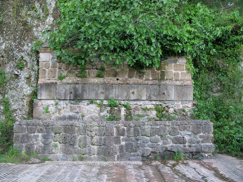 Monti della Tolfa e colli Berici