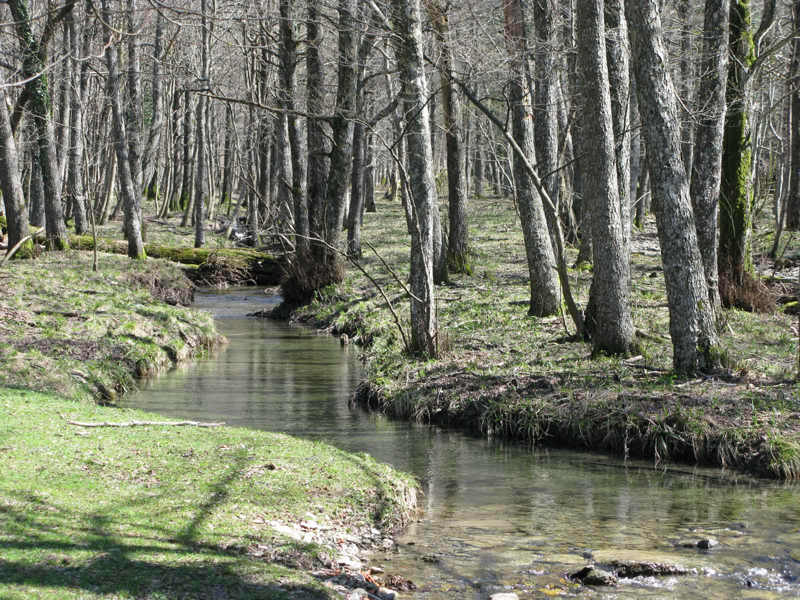 Foreste Casentinesi: La Lama e dintorni