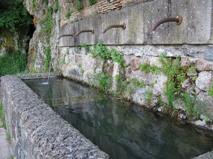 Monti della Tolfa e colli Berici