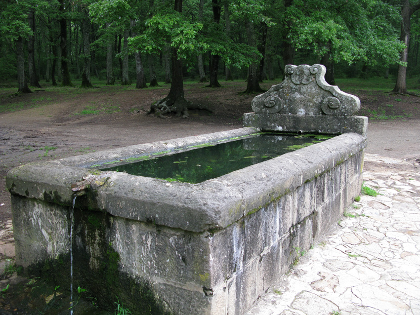 Monti della Tolfa e colli Berici