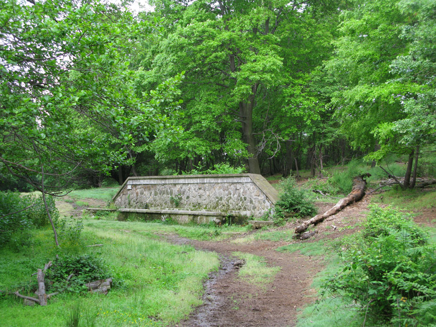 Monti della Tolfa e colli Berici