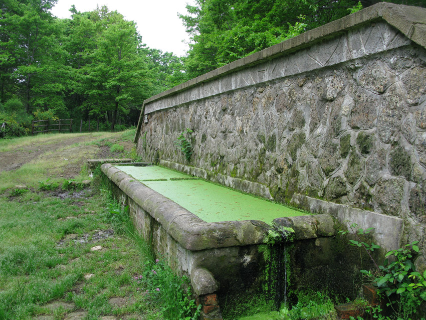 Monti della Tolfa e colli Berici