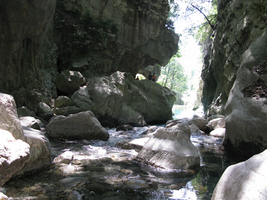 Anfibi nel Cilento...