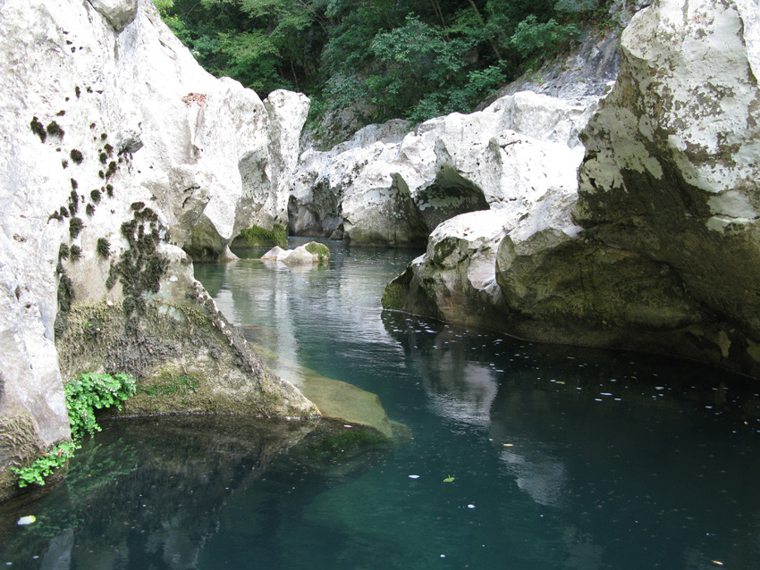 Anfibi nel Cilento...