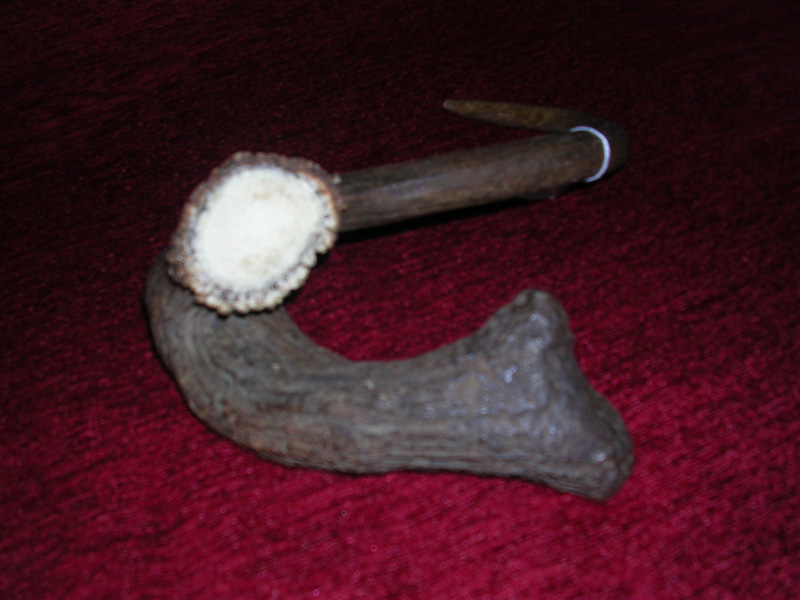 PASSIONE PER IL CERVO