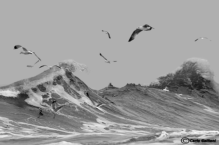 Bulgaria in inverno