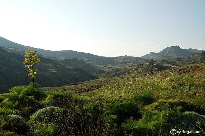 Lesbo paradiso della natura