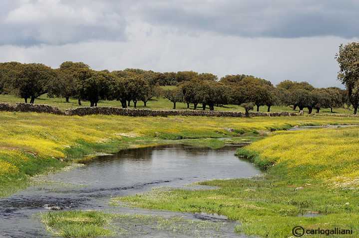 Spagna : Extremadura & Andalucia