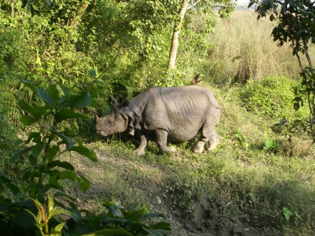 Nepal