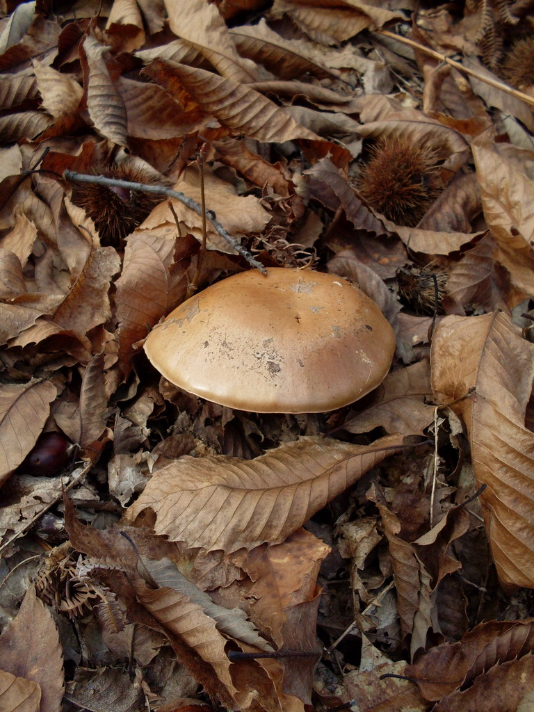 Luned� 10 Novembre