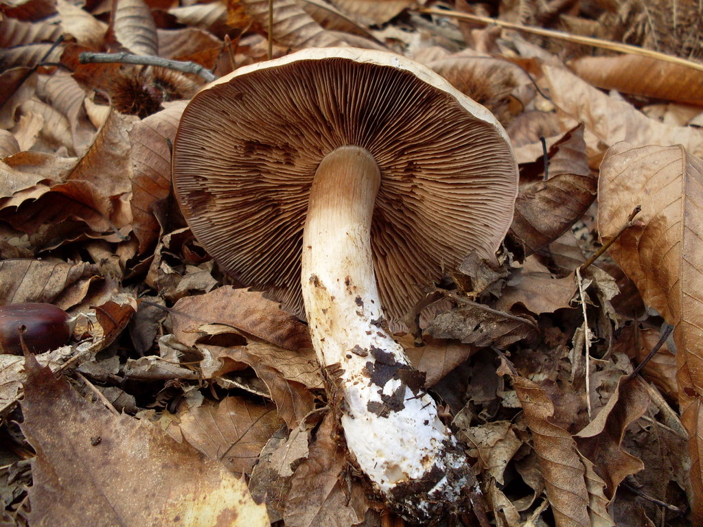 Luned� 10 Novembre