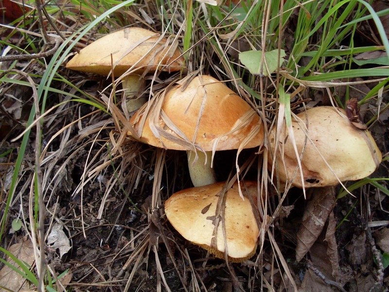 Luned� 10 Novembre