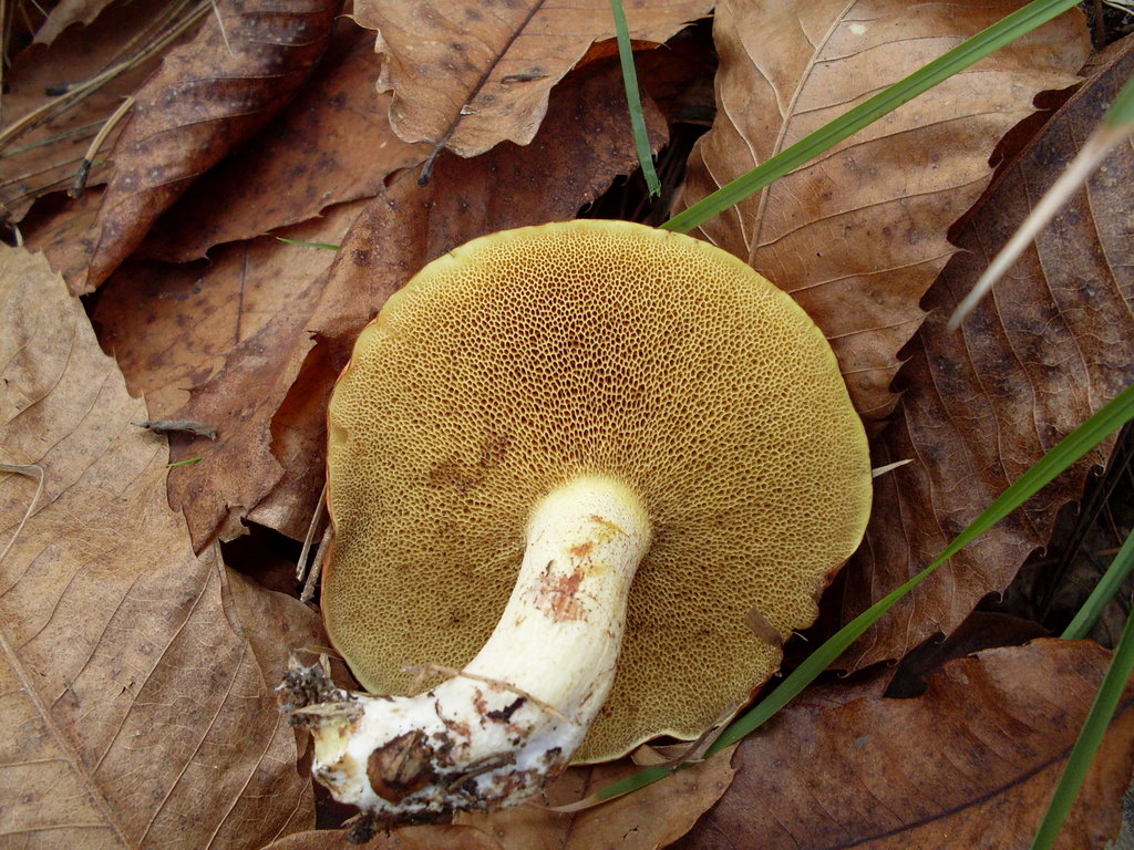 Luned� 10 Novembre