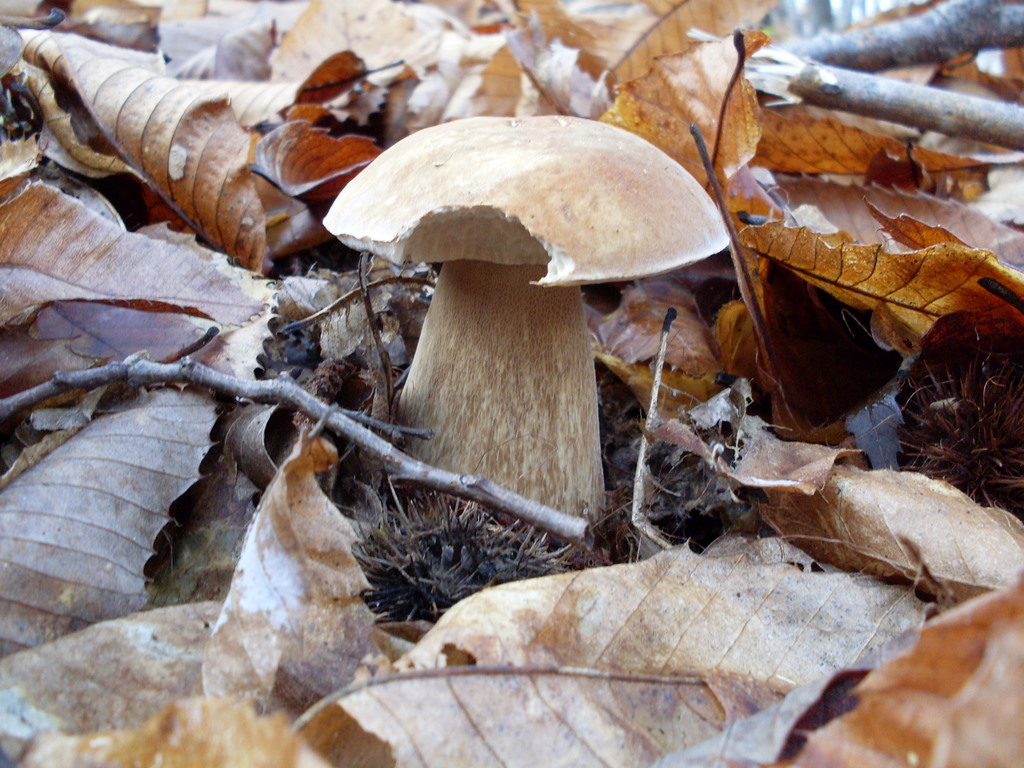 Luned� 10 Novembre